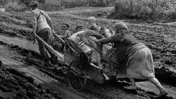  экрана 2025-04-30 в 14.02.42.png